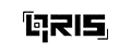 QRIS